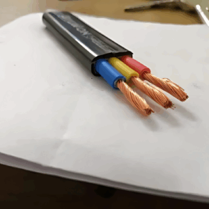 COPPER WIRES 4 MM FLAT 3 CORE GOLD [ 10 GAUGE ]