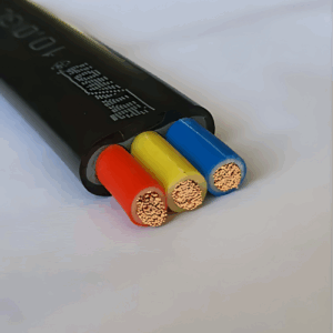 COPPER WIRES 2.5 MM FLAT 3 CORE GOLD [ 10 GAUGE ]